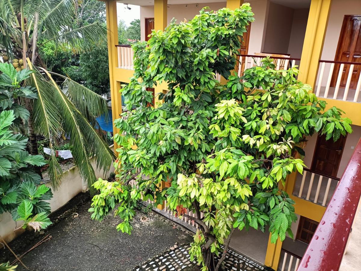 Speed 8 Inn Moalboal Exterior foto